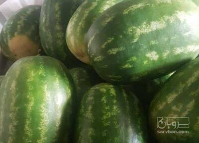 فروش هندوانه