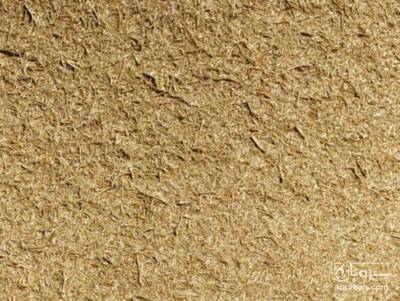 فروش کاه و کلش عدس