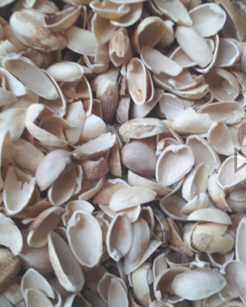 فروش پوست پسته