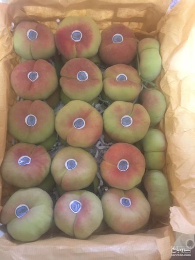 فروش هلو انجیری