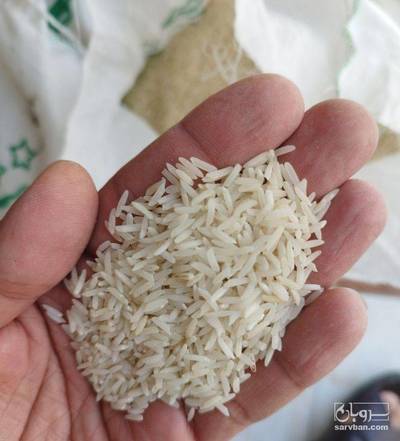 فروش برنج (مشتقات)