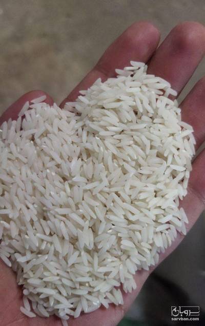 فروش برنج