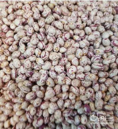 فروش لوبیا چیتی