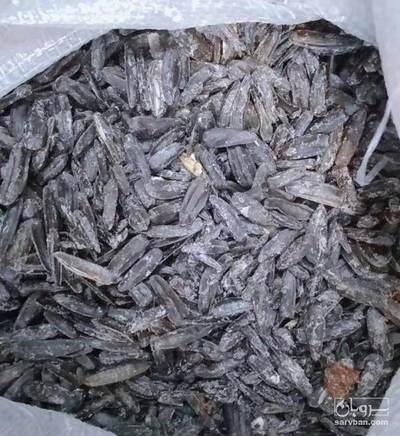 فروش تخمه آفتابگردان بود داده