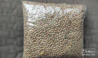 فروش عدس