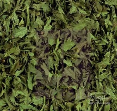 فروش  جعفری خشک  (گیاه‌ دارویی)