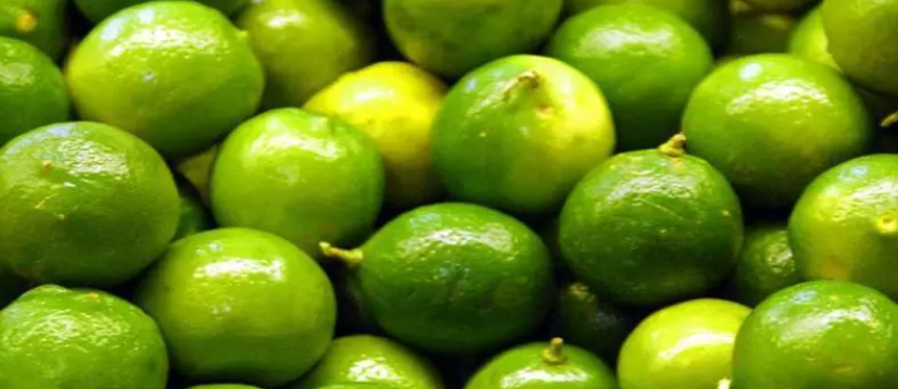 فروش لیموترش