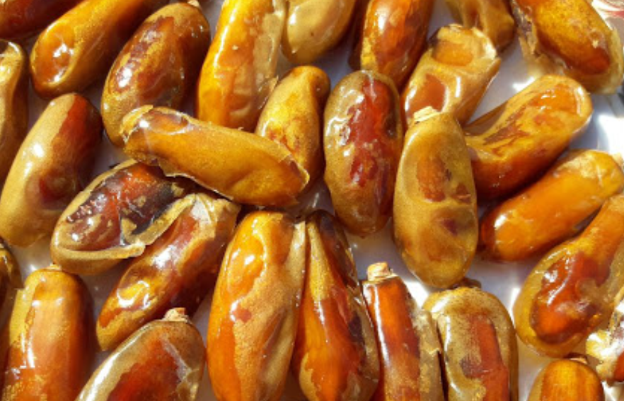 فروش خرما شاهانی