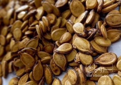 فروش تخمه هندوانه بو داده