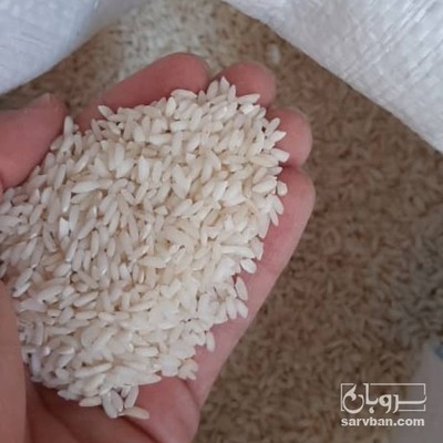 فروش برنج عنبربو