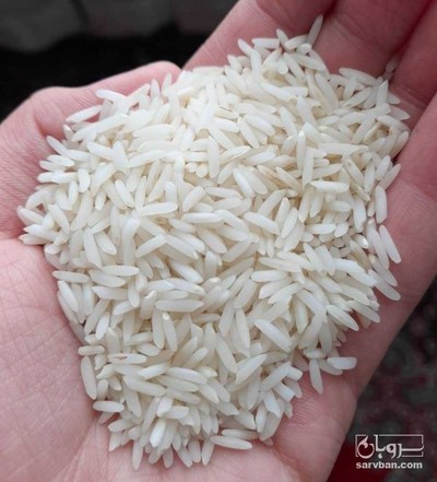 فروش برنج هاشمی