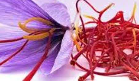 فروش زعفران  شکسته(گیاه‌ دارویی)