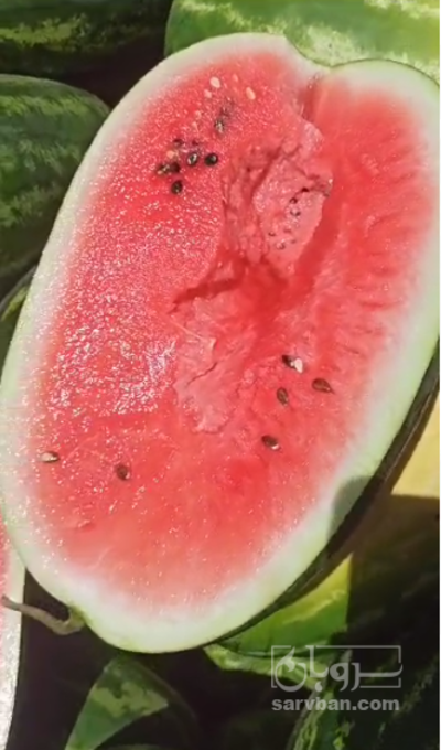 فروش هندوانه