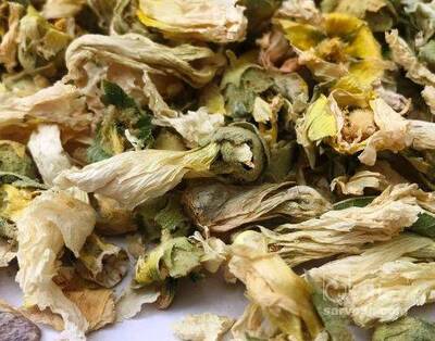 فروش گل ختمی - خطمی