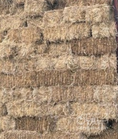 فروش کاه و کلش جو