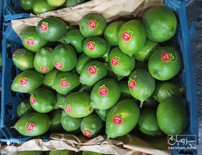 فروش لیموترش