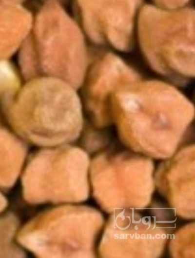 فروش نخود کفتری - لپه