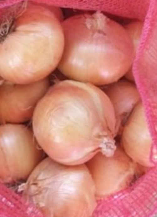 فروش پیاز زرد طلایی