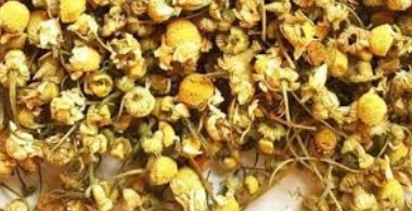 فروش بابونه (گیاه‌ دارویی)