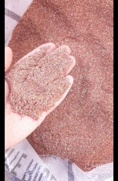 فروش هسته خرما