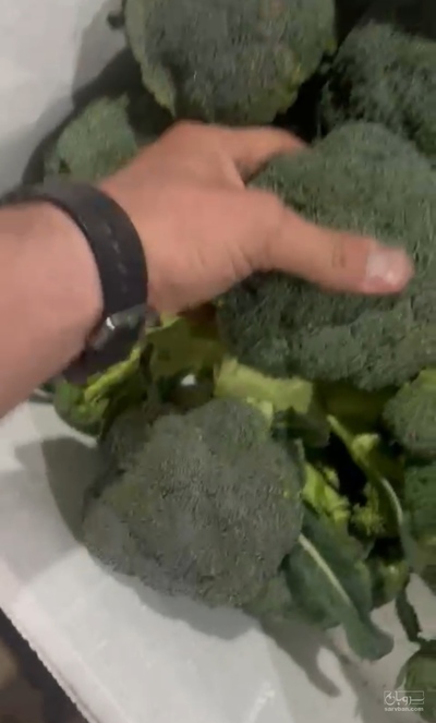 فروش کلم بروکلی
