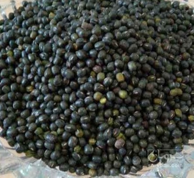فروش قره ماش (ماش سیاه)