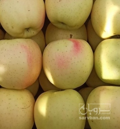 فروش سیب زرد