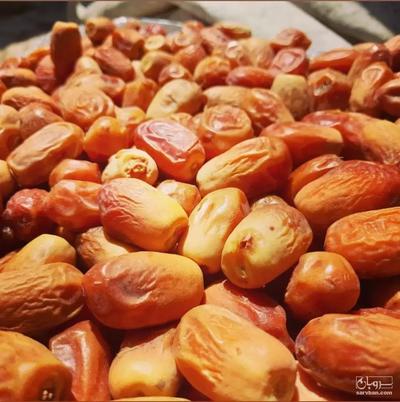 فروش خرما زاهدی