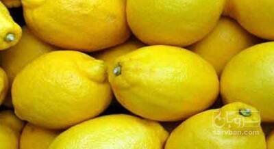 فروش لیموترش سنگی