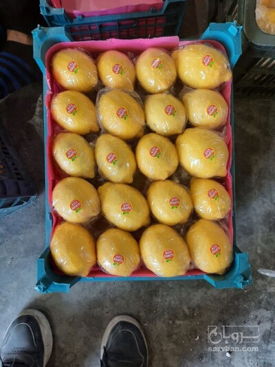 فروش لیمو ترش