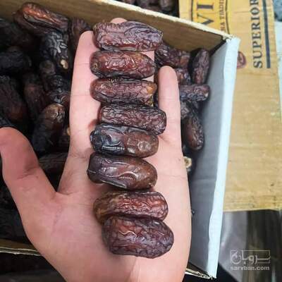 فروش خرما