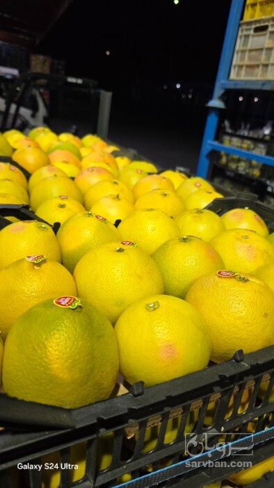 فروش گریپ فوروت