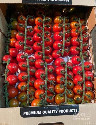 فروش گوجه فرنگی