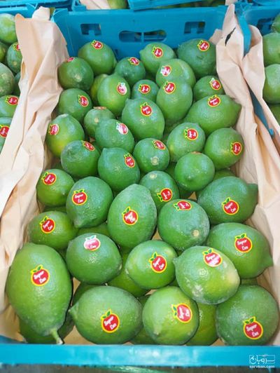 فروش لیموترش سنگی