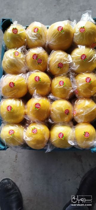 فروش لیمو شیرین