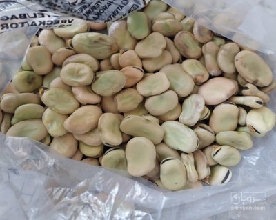 فروش باقلا خشک