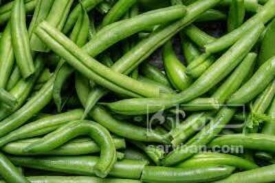 فروش لوبیا سبز