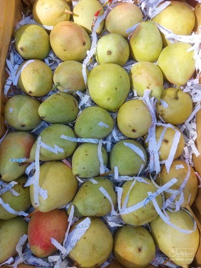 فروش گلابی بیروتی