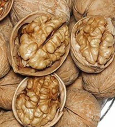 فروش مغز گردو