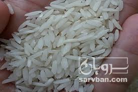 فروش برنج شمال