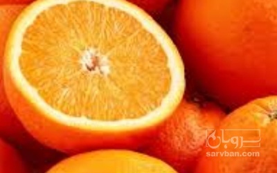فروش پرتقال