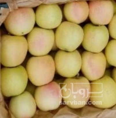 فروش سیب زرد
