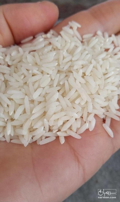 فروش برنج طارم
