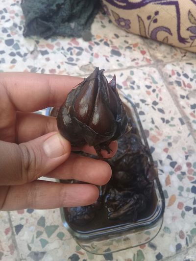 فروش سیر ترشی