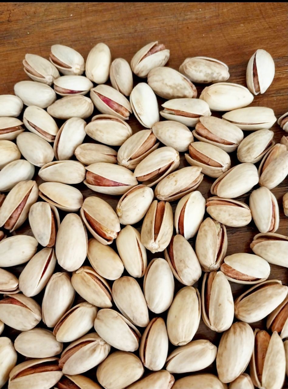 فروش پسته  اکبری دستچین