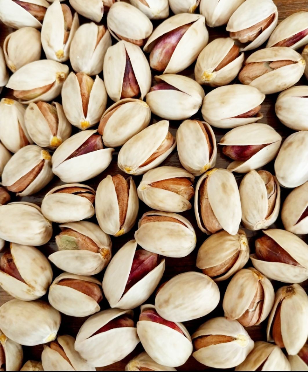 فروش کله قوچی