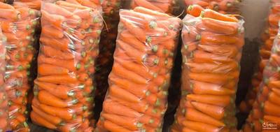 فروش نایلون خیاری یا نایلون بسته بندی