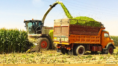 فروش چاپر ذرت - سیلاژ ذرت