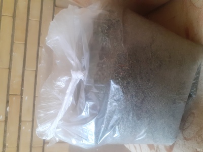 فروش آویشن باغی