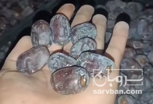 فروش خرما کلوته